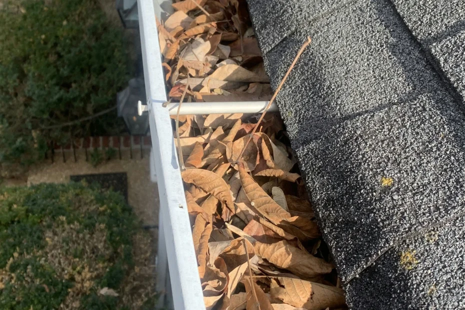 Gutter Cleaning Kings Mountain